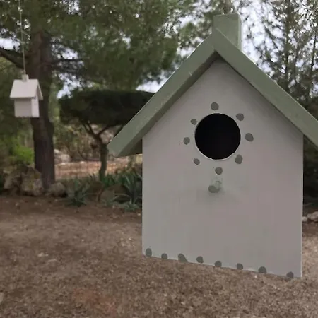 Holiday home Ca'n Tomeu. *